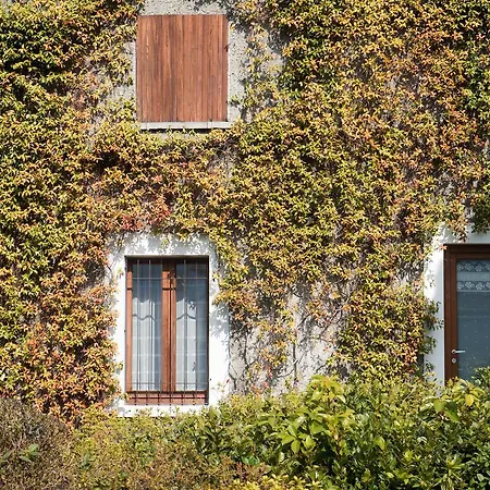 Chalet Giu On The Como Lake Faggeto Lario